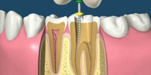 Dentart2001 - Clinica stomatologica