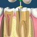 Dentart2001 - Clinica stomatologica